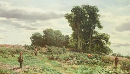 パースシャーのメイクロアの森